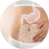 Gut health diagram